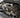6.0 Powerstroke engine bay with valve covers removed
