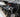 6.7 powerstroke ccv delete pros and cons