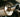 pickup truck muffler close up photo