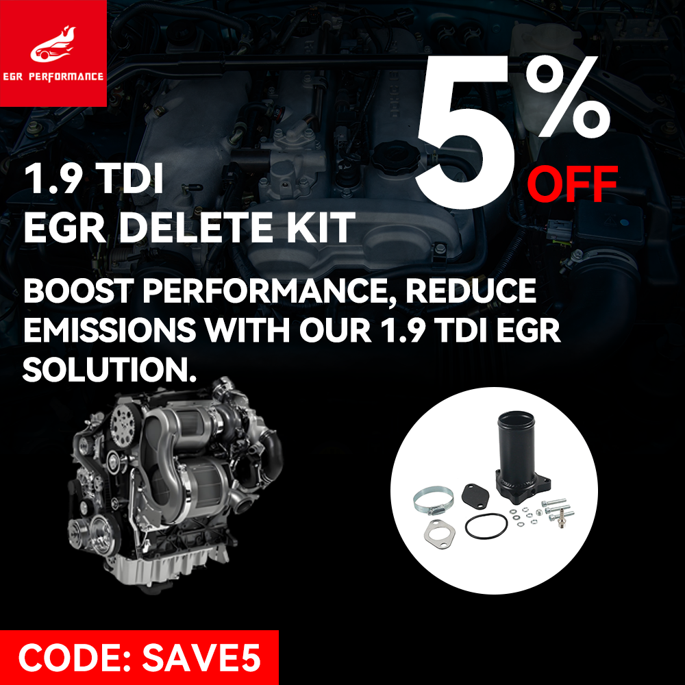 VW EGR